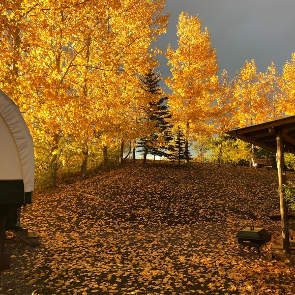 Meet your Posher, James - Picture 5 of 5